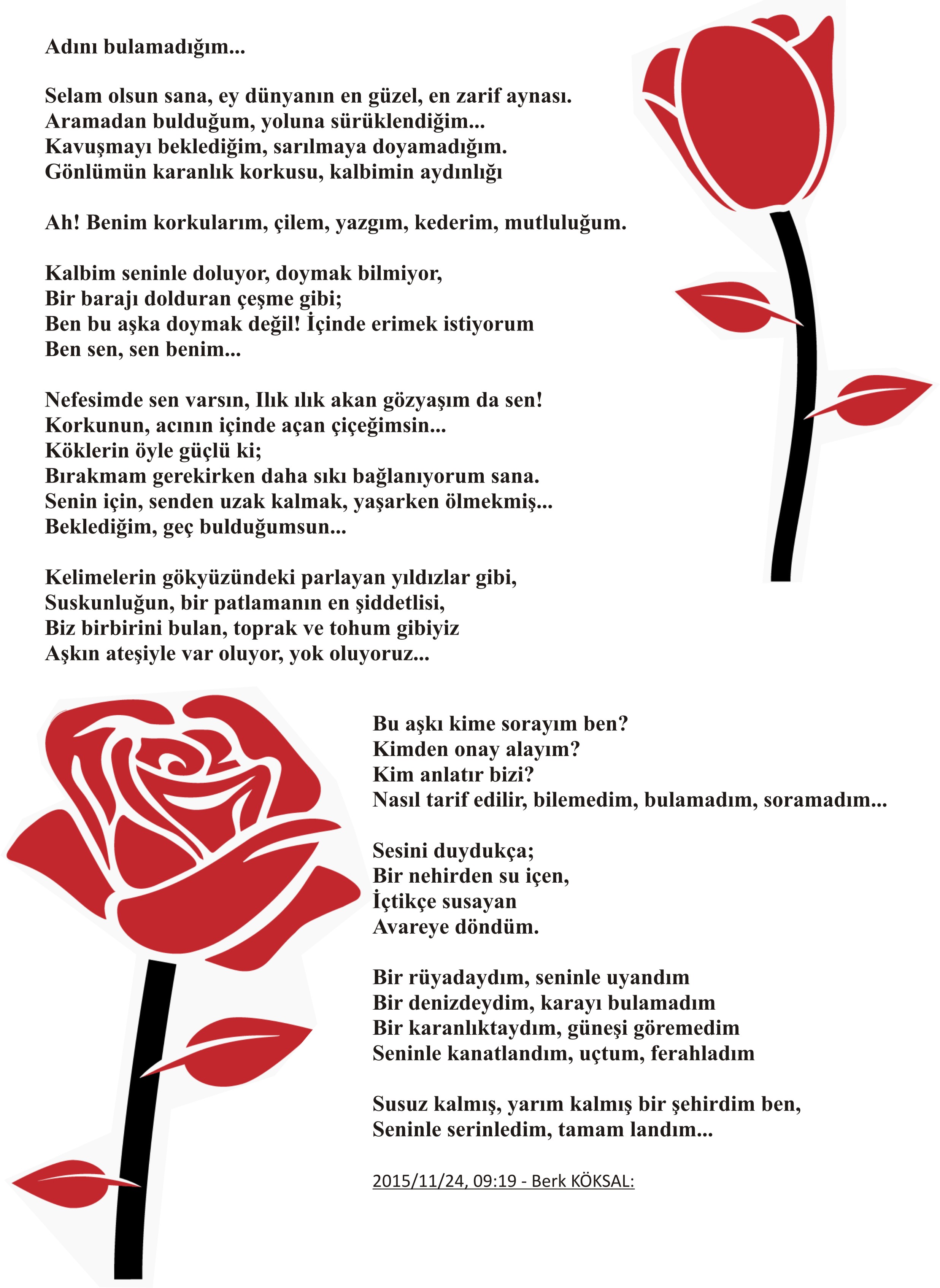 Ayna — Berk Köksal