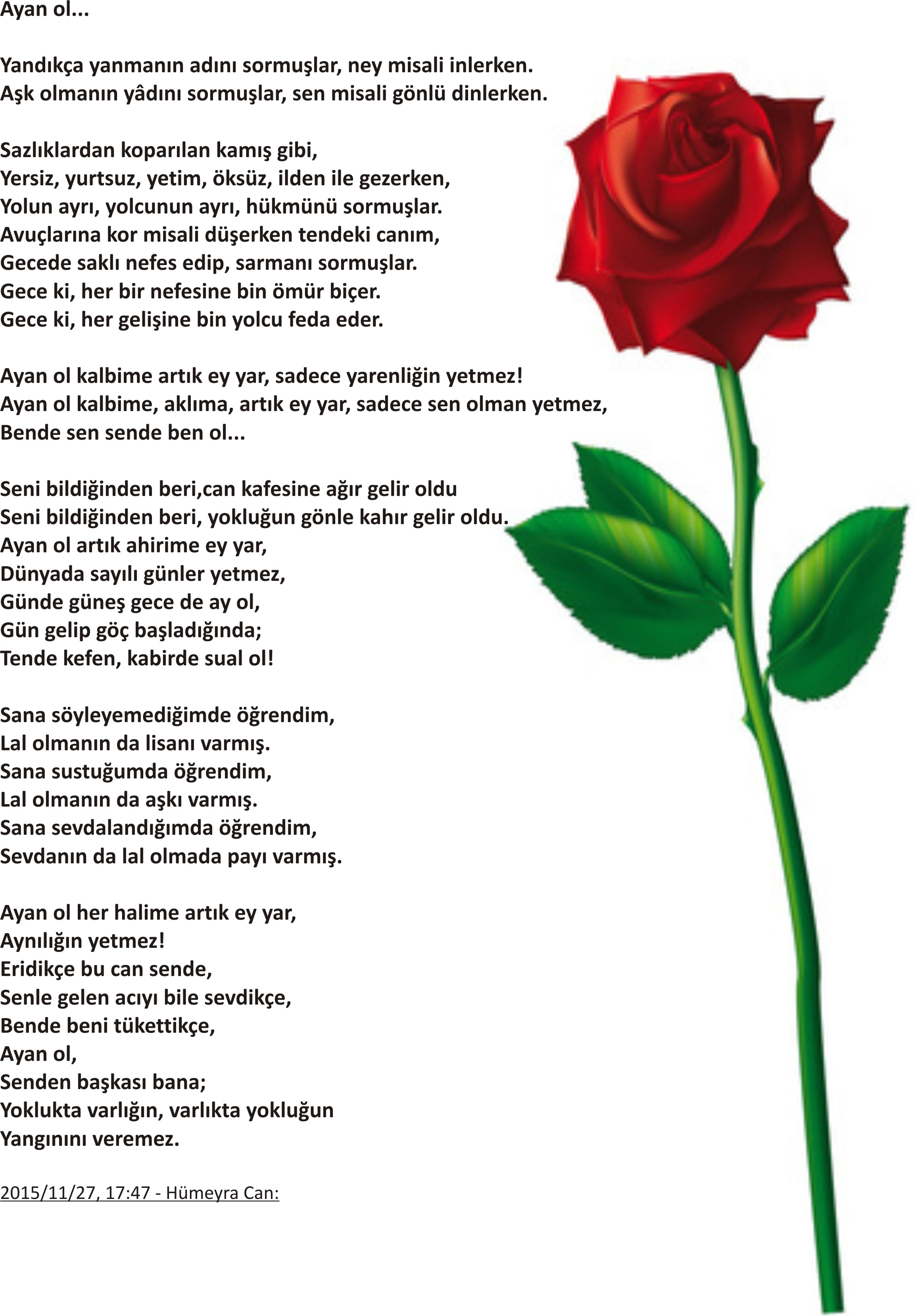 Ayan Ol — Hümeyra Can Köksal