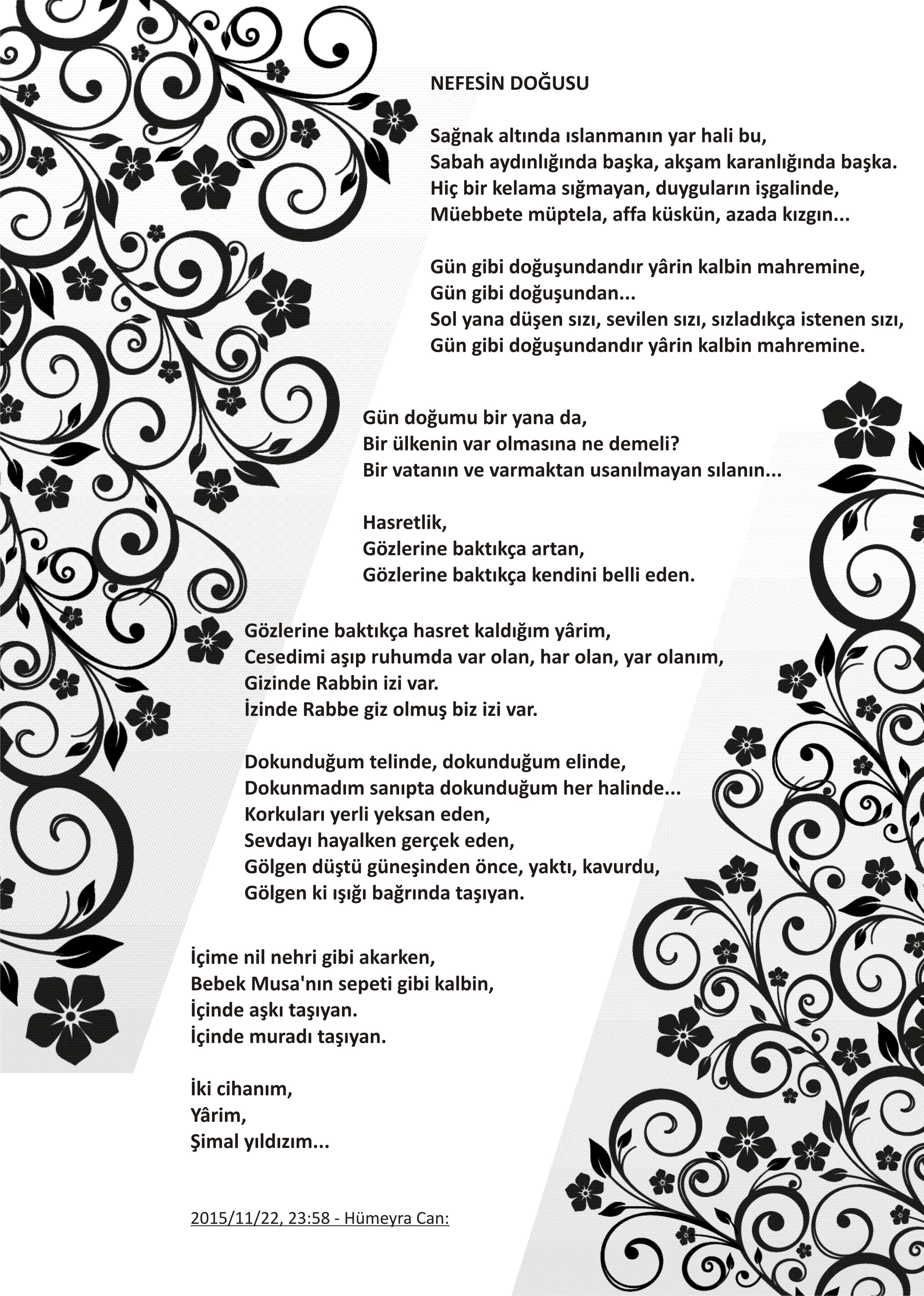 Nefesin Doğuşu — Hümeyra Can Köksal